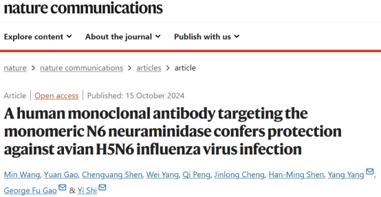 單B細胞抗體制備技術(shù)助力高效開發(fā)禽流感特異性抗體