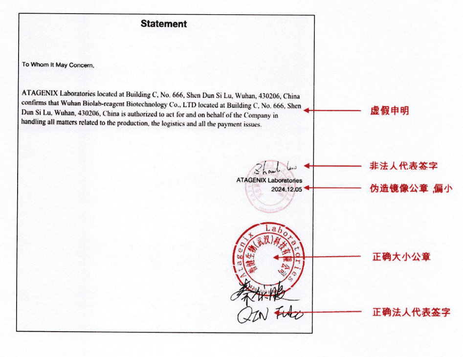 佰樂博偽造的《Statement》文件對比說明