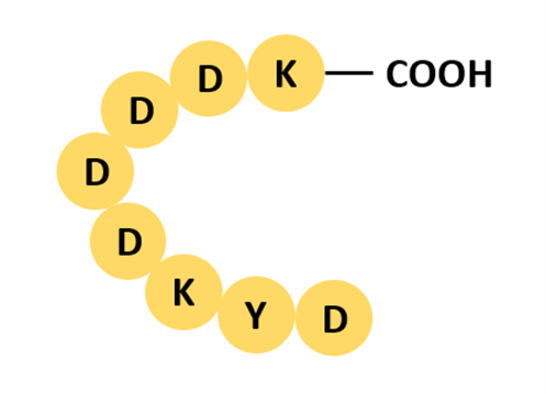 Flag標(biāo)簽結(jié)構(gòu)