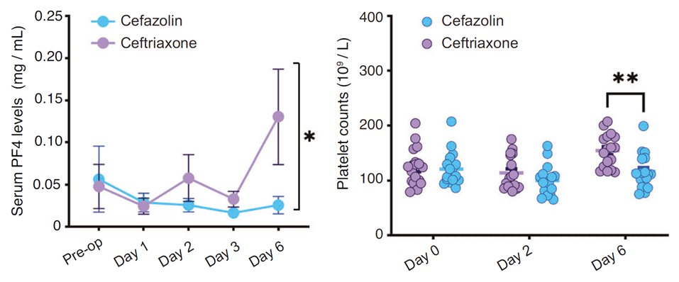 Ceftriaxone抑制C3上調(diào)、維持PF4水平，發(fā)揮認(rèn)知保護(hù)作用